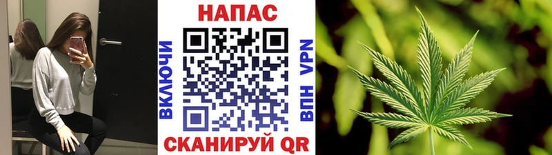 Купить закладку Алейск ГАШ Псилоцибиновые грибы A PVP МЕФ Конопля