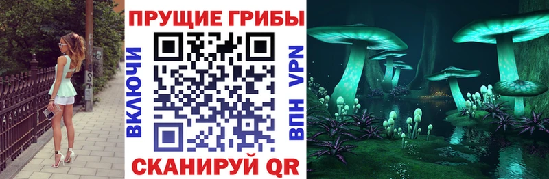 хочу наркоту  Алейск  Псилоцибиновые грибы мухоморы 